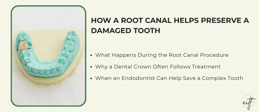 How Root Canal Treatment Saves a Tooth